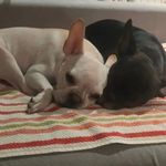 Michael Spurlock - @mikespurlock1968 - Instagram