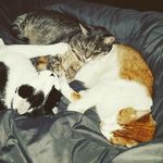 Mike Spurlock - @whirlyspurley - Instagram