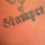 Mike Stamper - @stampersr.s.mike - Instagram
