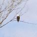 Michael Dale Staten - Facebook