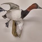 Mike Steed - @mike.steed.106 - Instagram