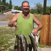 Mike Stein175 - @mikestein175 - TikTok