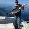 Mike stein - @mikestein66 - TikTok