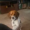 mikestein81 - @mikestein81 - TikTok