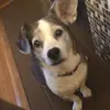 mikesteinhilper57 - @mikesteinhilper57 - TikTok