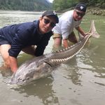 Mike Stella - @m_stells - Instagram