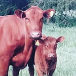 mikestoops - @mikestoops1 - Instagram