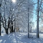 Mike Strachan - @mike.strachan.568 - Instagram