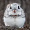 Mike Strachan - @mike.strachan - TikTok