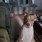 Strahan Mike - Facebook