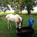 Michael Strobl - Facebook