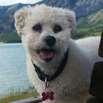 Mike Stroh - @finnegan60 - Instagram