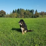 Mike Strohmaier - @mikestrohmaier - Instagram