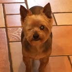 Mike Struble - Facebook
