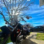 Mikey Struble - @sammypooz - Instagram