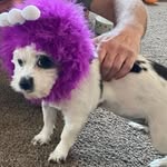 Mike Sturm - @mike.sturm.923 - Instagram