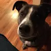 Mikey Sturtevant - @mikeysturtevant26 - TikTok