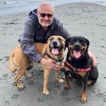 Mike Surowiec - @surobrain - Instagram