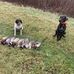 Michael Sutter - Facebook