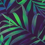 mike sweeny - @mikesweeny119956 - Instagram