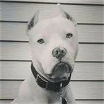Mike Sweeting - @sweetingmike - Instagram