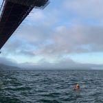 Michael Reilly - @mike.swims - Instagram