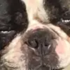 Mike Swords - @mikeswords - TikTok