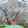bethnmiketaft - @betharoo6 - TikTok