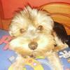 MIKE🐶 - @mike_tapia_ - TikTok