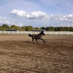 Mike Teeter - @mike.teeter01 - Instagram