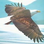 Mike Terrones - @mig3juan - Instagram