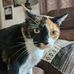 Mike Teske - Facebook