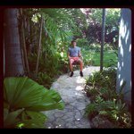 Mike Thibodeau - @mgthibodeau - Instagram