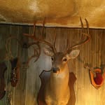 Mike Thomason - @mike.thomason.1485 - Instagram