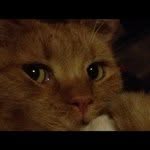 @mike_thomson - Instagram