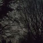 Mike J Thorn - @mike.thorn.560 - Instagram