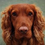 mike timberlake - @mike85977 - Instagram