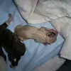 Mike Titus - @mike.titus2 - TikTok