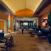 miketomasello953 - @miketomasello953 - TikTok