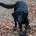 Mike Tomko - Facebook