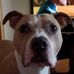 Mike Tousignant - Facebook