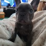 Mike Traxler - @mike.traxler - Instagram