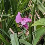 Mike Tribe - @tribe3358 - Instagram