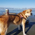 Mike Trott - @coldbeercams - Instagram