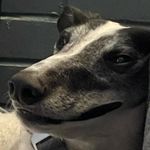 Michael Truex - @heymikeyyyyyy - Instagram