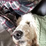 Mike trusty - @trusty2898 - Instagram
