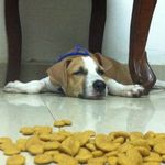 Mike_tully - @mylobuttons - Instagram