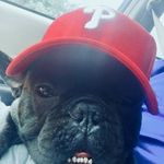 Mike Tully - @tikemully - Instagram
