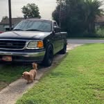 Mike Tyree - @wrenchn_with_mike - Instagram