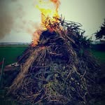 Mike Uhlig - @mike.uhlig - Instagram